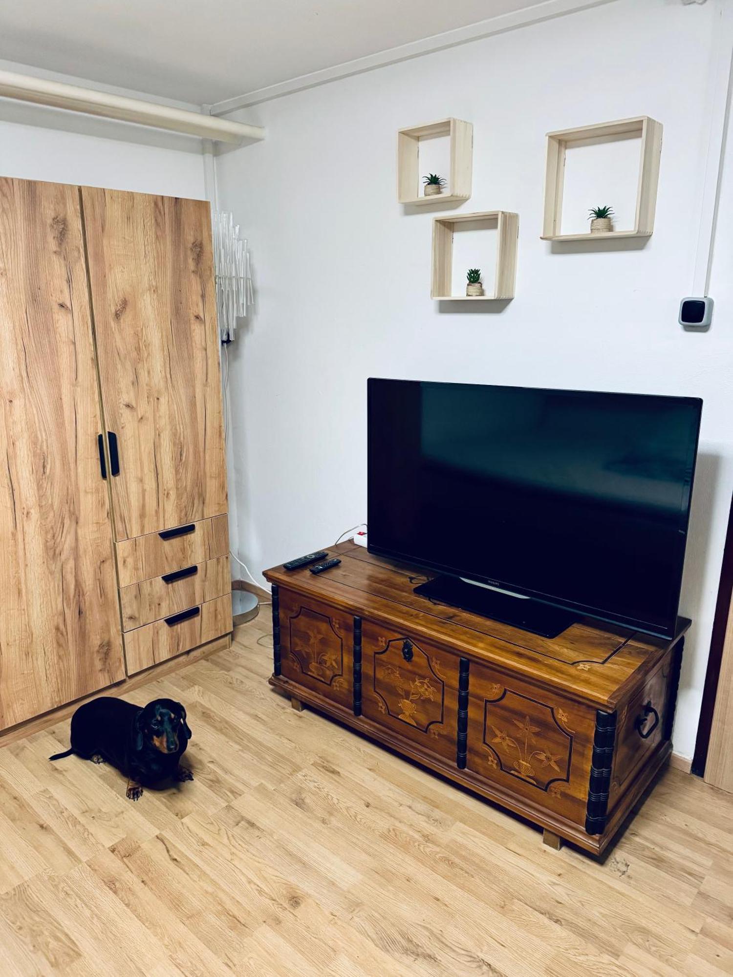 Moon Bay Apartment - Free Large Parking 포르토로즈 외부 사진
